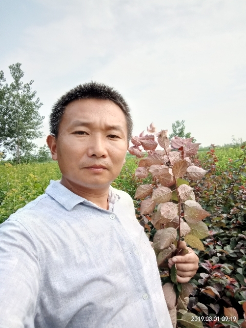 孩子爸的第一张照片--连云港相亲服务中心