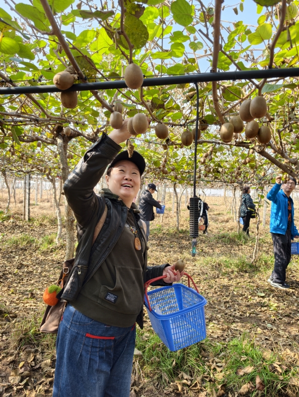 夜莺的第四张照片--连云港相亲服务中心